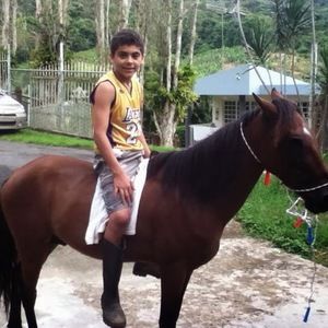 Meet your Posher, Eli